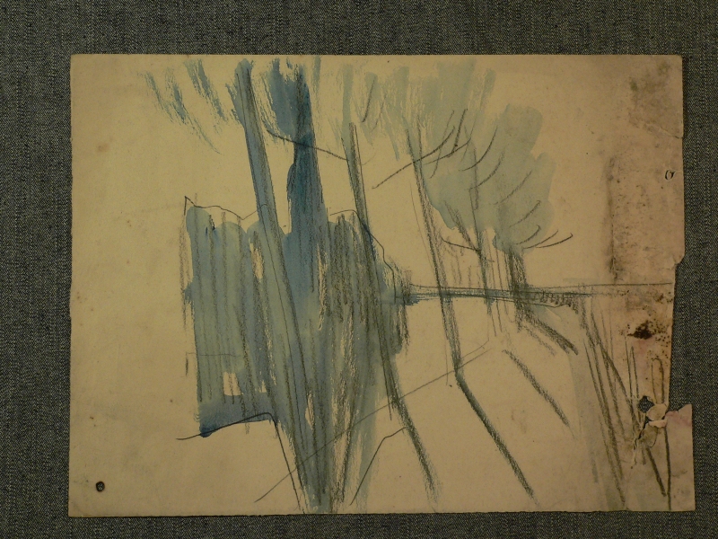 439ch trees on the embankment, contre jour